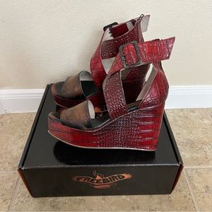 Freebird “TERRA”